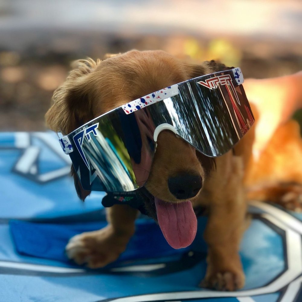 Meet your Posher, Carley